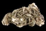 Muscovite Crystal Cluster - Brazil #95577-1